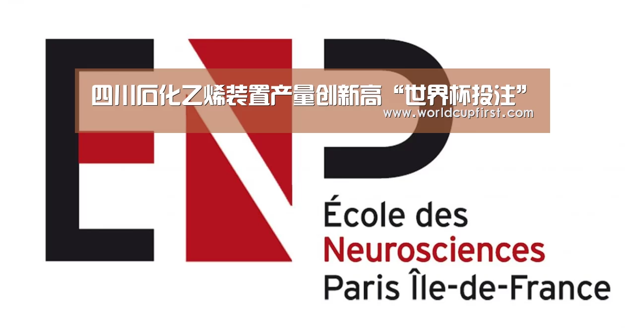 世界杯买球网站官网