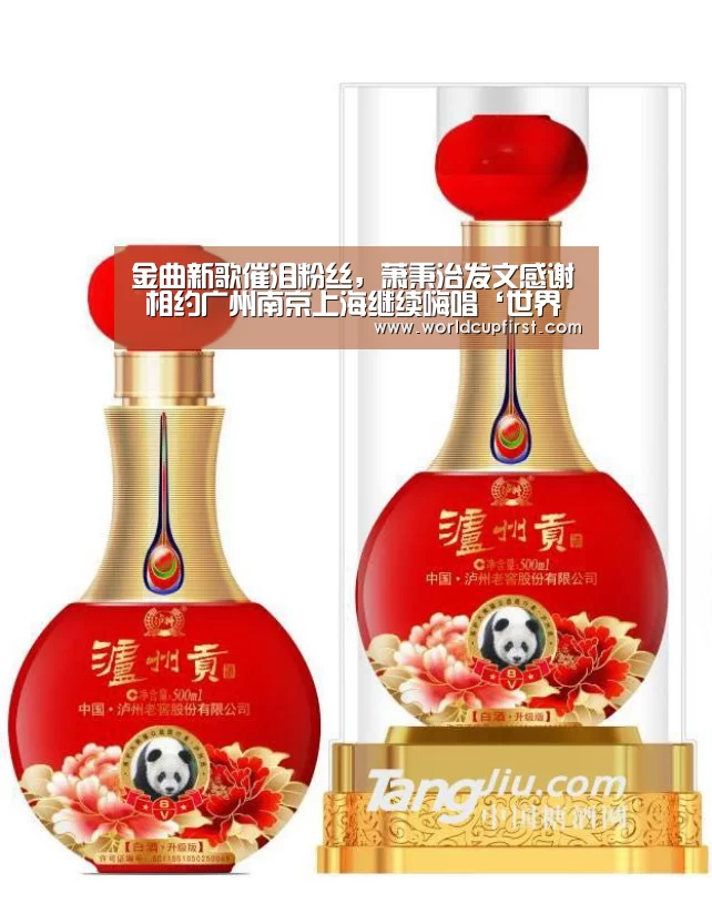 世界杯买球网站