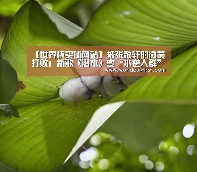 【世界杯买球网站】被张敬轩的微笑打败!新歌《潜水》变“水逆人群”护身符(图2) 世界杯买球网站官网